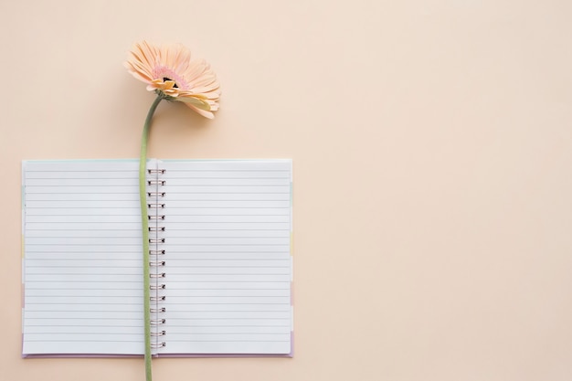 Photo bloc-notes vide avec fond de fleur de gerbera daisy frais