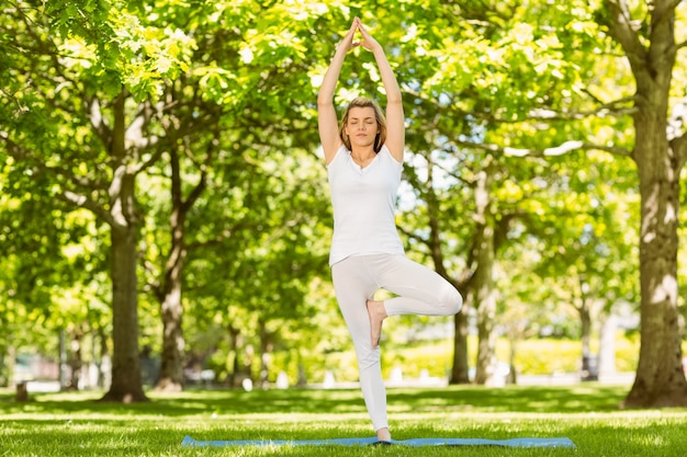 Blonde paisible, faire du yoga dans le parc