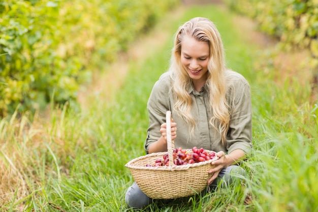 Blonde viticulteur en regardant un panier de raisins rouges