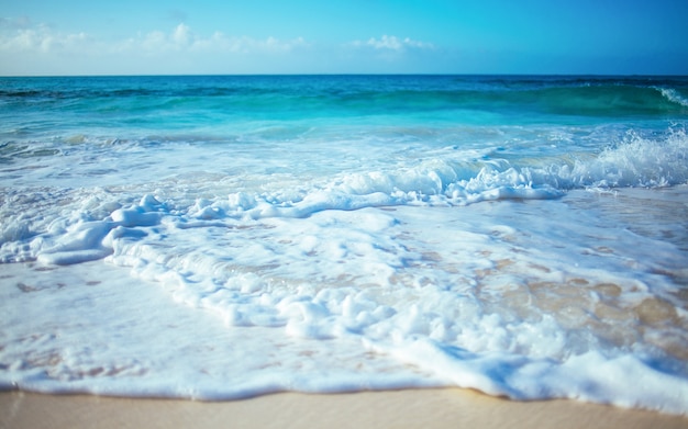 Blue beach waves