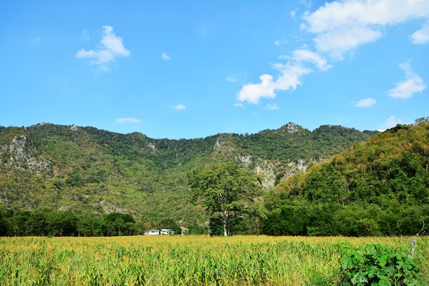 Blue Ridge Mountains et la ferme de Corm