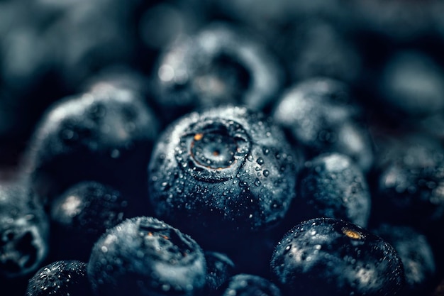 Blueberries close up