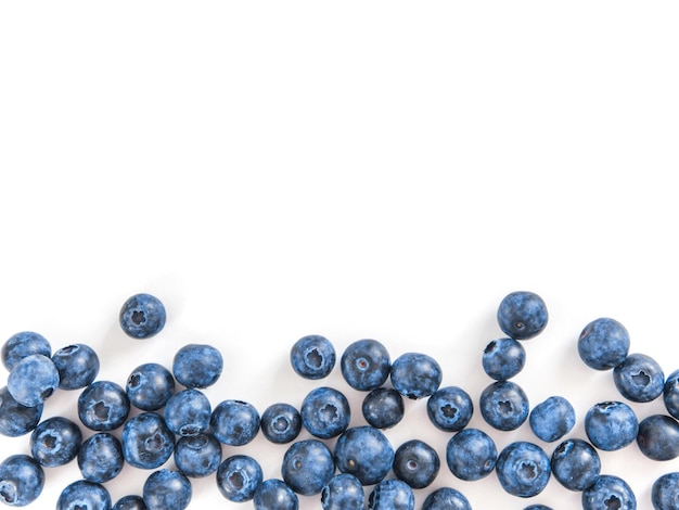 Photo blueberry isolated whitecopy space
