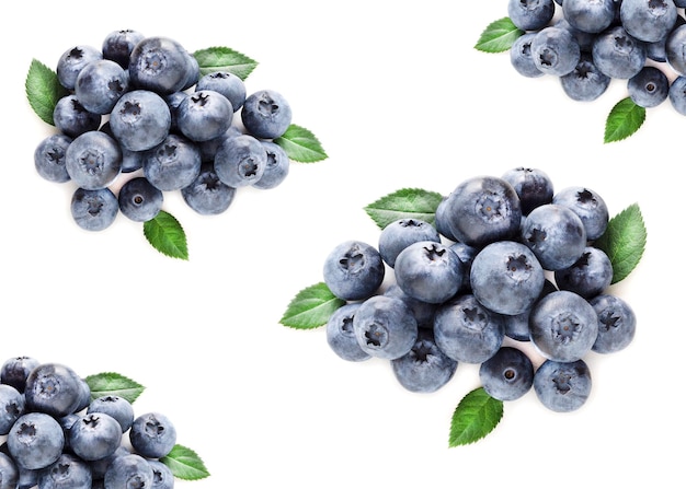 Blueberry isoler sur blanc Vue d'en haut