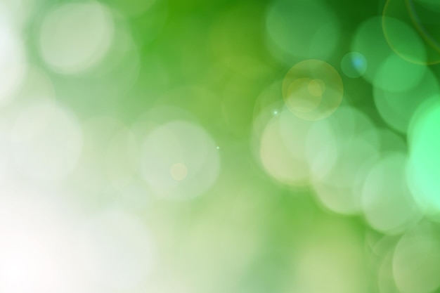 Blur cercle bokeh fond de feuilles vertes feuilles jaunes floues rayons de lumière éclair nature arrière-plan