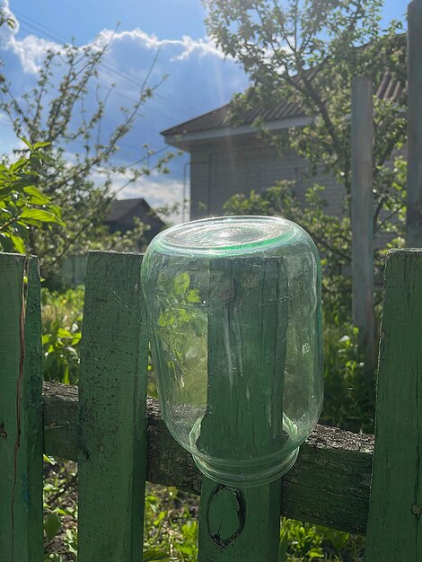 un bocal en verre est suspendu à une clôture verte dans la cour