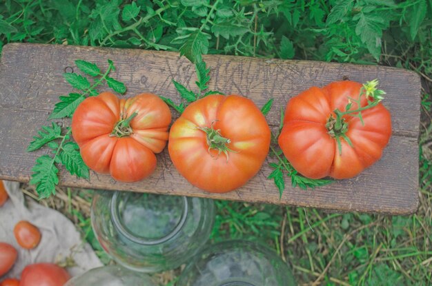 Bocaux en verre avec des tomates confites faites maison à l'extérieur