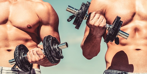 Bodybuilder fort, muscles deltoïdes parfaits, épaules, biceps, triceps et poitrine. Haltère. Des gars musclés de bodybuilder, des exercices avec des haltères. Muscles avec haltère. Homme s'entraînant avec des haltères