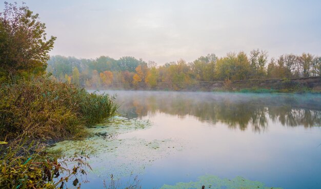 Bois d'automne au bord de la rivière