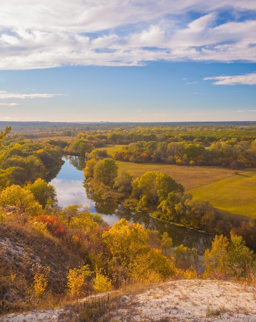 Bois d'automne au bord de la rivière