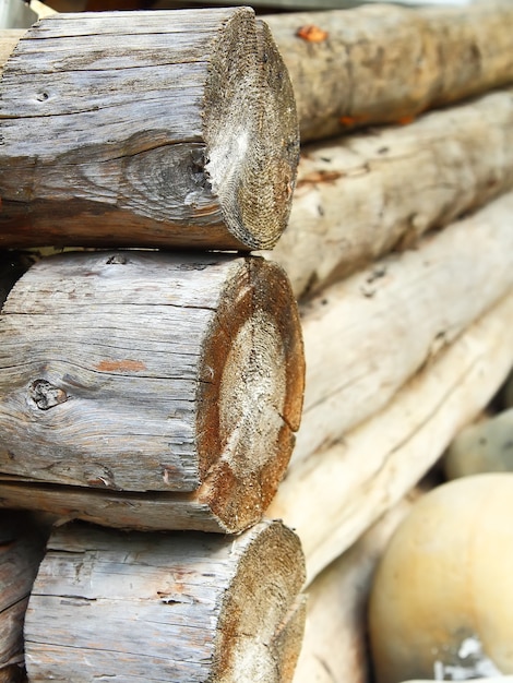 Bois de chauffage combiné dans une pile de tas de bois.