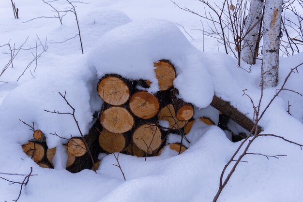 Bois de chauffage dans la neige Bois de chauffage de pin recouvert de neige blanche Bois de chauffage soigneusement empilé dans la chambre de combustion Préparation du bois de chauffage en hiver