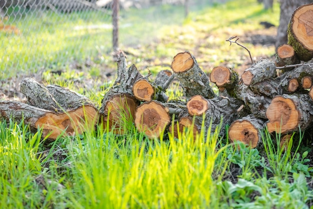 Bois de chauffage empilé à l'extérieur