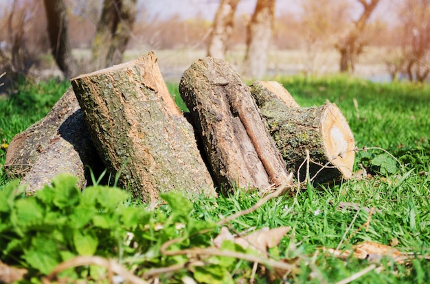 Bois de chauffage sur l&#39;herbe verte, loisirs de plein air, printemps, été