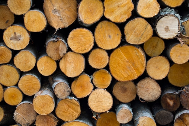 bois de chauffage rond empilé en rangées