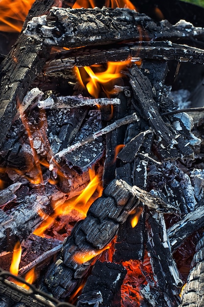 Bois dans les flammes du brasier. Mise au point sélective