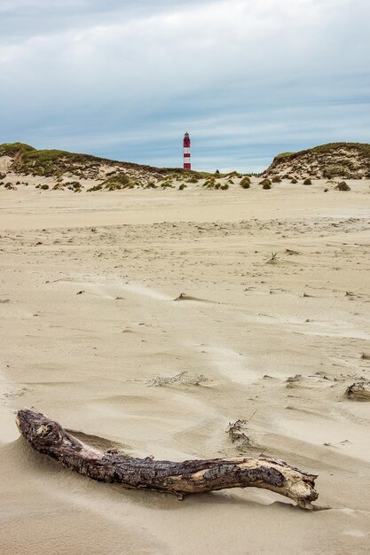 Photo bois à la dérive sur la plage par la mer contre le ciel