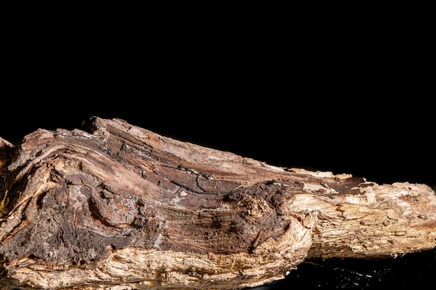 Bois flotté bois vieilli sur fond blanc. Morceau isolé de bois flotté vue de dessus. Gros plan de bâton de bois flotté, texture du bois pour aquarium.