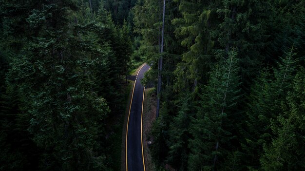 Bois et route d'en haut