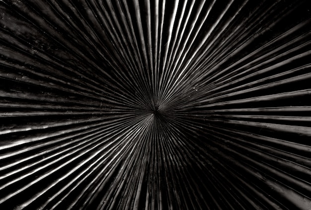 bois sculpté noir avec texture de forme radiale