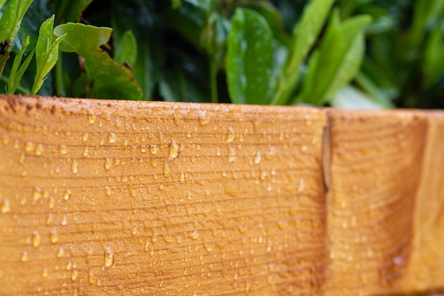 Bois traité protégé contre l'humidité et l'eau Gouttes d'eau après la pluie