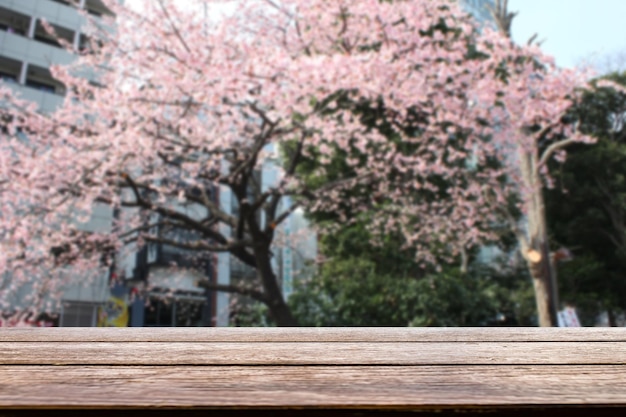 Bois vide sur fleur de cerisier sakura blanc rose floue au japon