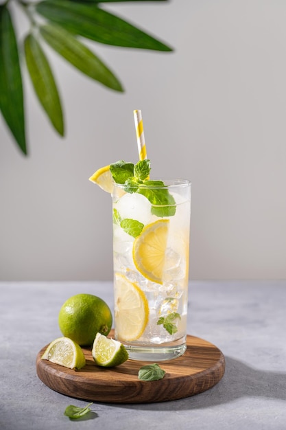 Boisson Mojito aux citrons frais Cocktail rafraîchissant à la menthe citron vert citron et glace sur fond gris avec feuille de palmier