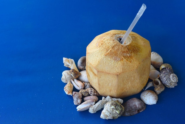 Boisson à la noix de coco avec des coquillages sur fond bleu