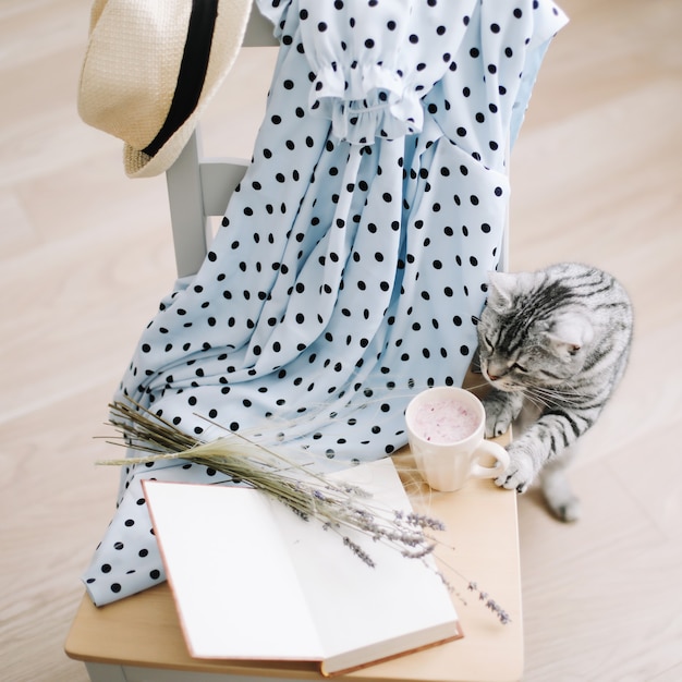 Une boisson de smoothie fraîche de livre de chat mignon et un livre