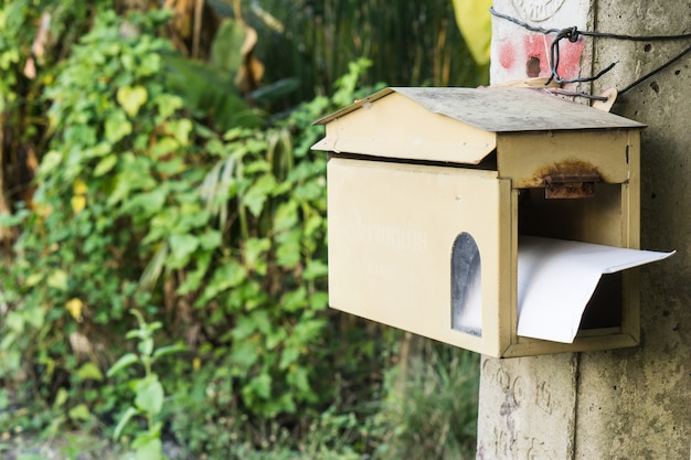 Photo une boîte aux lettres en bois de forme de maison suspendue à un arbre avec une rue