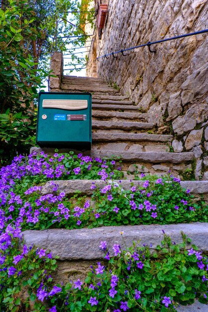 Boîte aux lettres et escalier menant à une maison en pierre aux fleurs violettes dans le village des Matelles