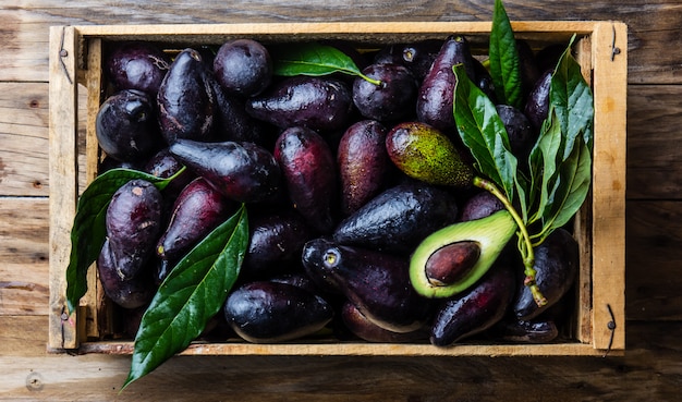 Boîte D'avocat Frais Avec Des Feuilles. Concept De Récolte