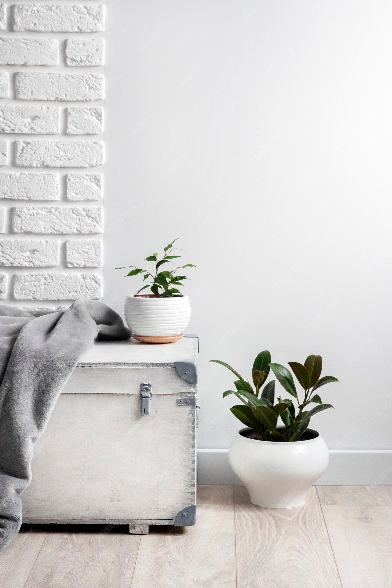 Boîte En Bois Blanche Et Jeunes Plantes D'intérieur Dans Des Pots De Fleurs  Blanches Sur Une Surface Murale Blanche | Photo Premium