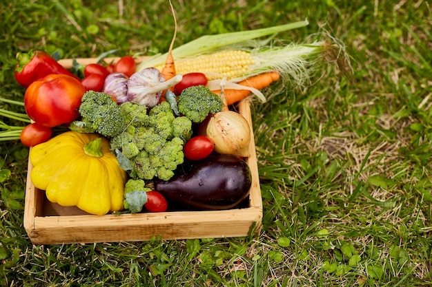 Boîte en bois avec différents légumes frais de la ferme en plein air sur l'herbe