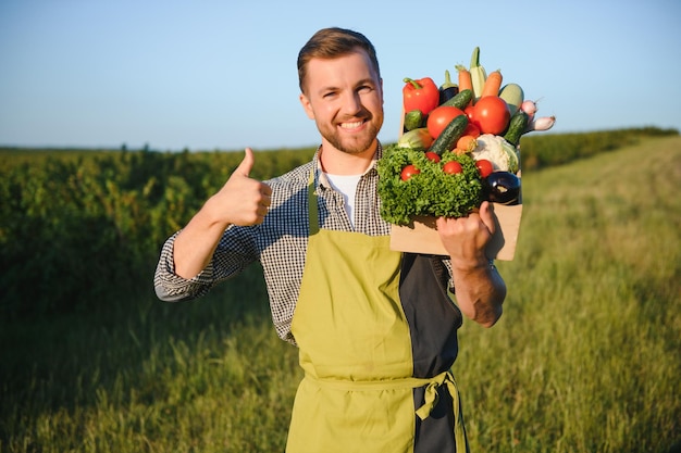 Boîte en bois remplie de légumes frais