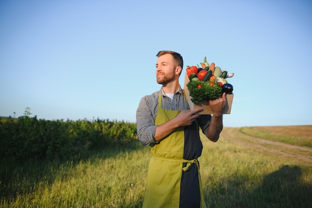 Boîte en bois remplie de légumes frais