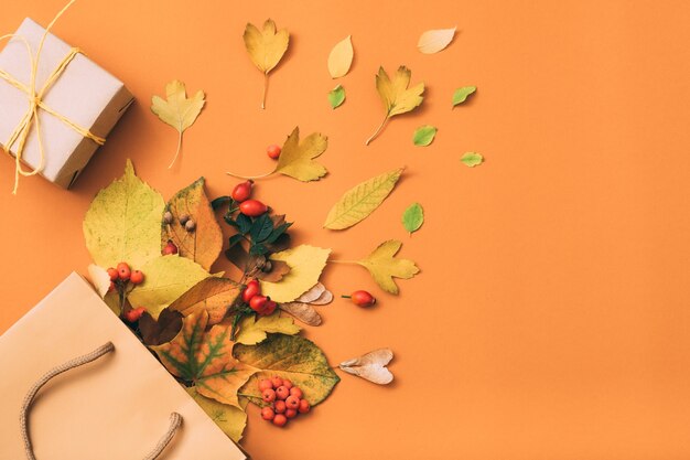 Boîte-cadeau et sac en papier avec des feuilles d'automne