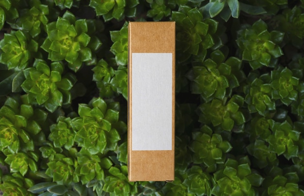 Photo boîte en carton bio avec étiquette blanche sur fond naturel avec des plantes