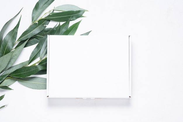 Boîte en carton blanc avec brosse d'arbre