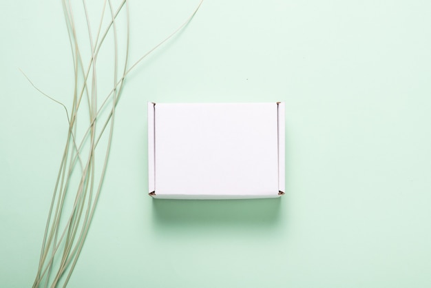 Boîte en carton blanche décorée de feuilles d'herbe