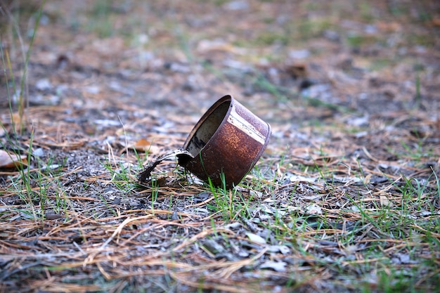 Boîte de conserve ouverte rouillée se trouvant au milieu de la forêt