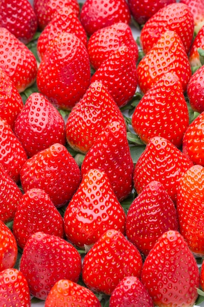 Boîte de fraises, collecte des récoltes.