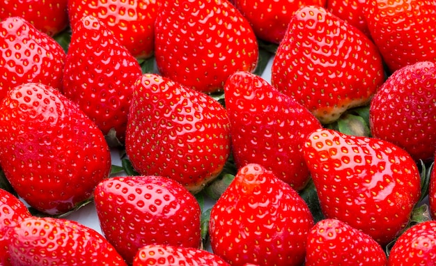 Boîte de fraises, collecte des récoltes.