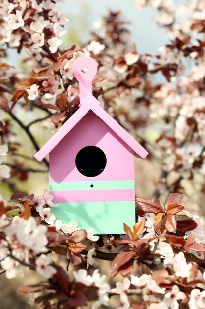 Boîte de nidification décorative sur un fond lumineux