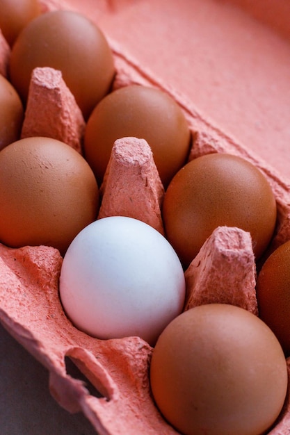 Boîte à œufs ouverte avec dix œufs bruns vue rapprochée Oeufs de poule bio frais dans un carton ou un contenant d'œufs