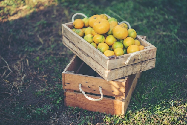 boîte orange sur la table en bois