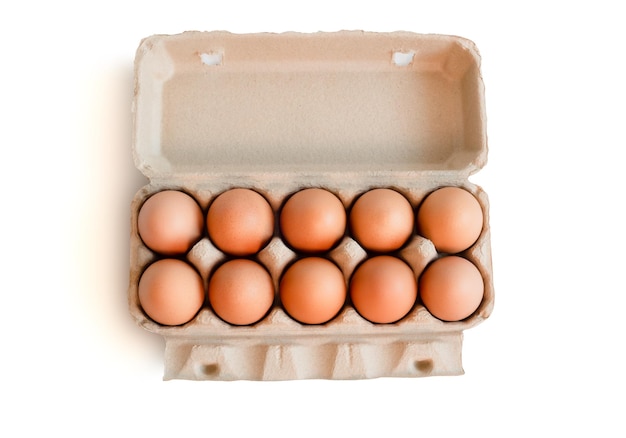 Boîte ouverte avec des œufs bruns frais isolés sur fond blanc Oeufs de poule bio frais dans une boîte en carton