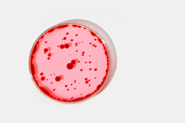 Boîte de Pétri sur fond clair Avec un liquide rouge et entrecoupé de gouttes rouges Cercles rouges ronds sur l'eau Plasma sanguin de laboratoire Étude