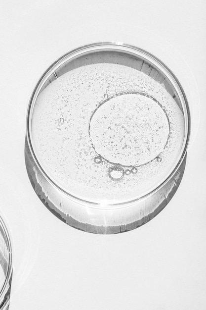 Boîte de Petri Petri's cup avec des éléments chimiques liquides cosmétiques à l'huile Gel molécules d'eau virus Gros plan sur un fond blanc