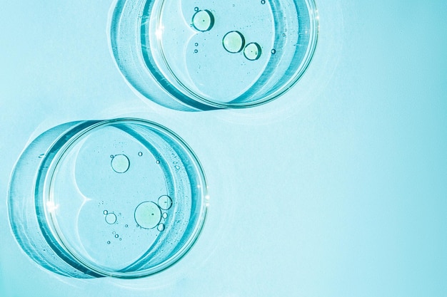 Boîte de Pétri Tasses de Pétri avec ensemble liquide Éléments chimiques huile cosmétiques Gel molécules d'eau virus Gros plan sur un fond bleu
